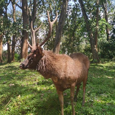 Wild Window - Forest View Homestay เทกคาดี ภายนอก รูปภาพ