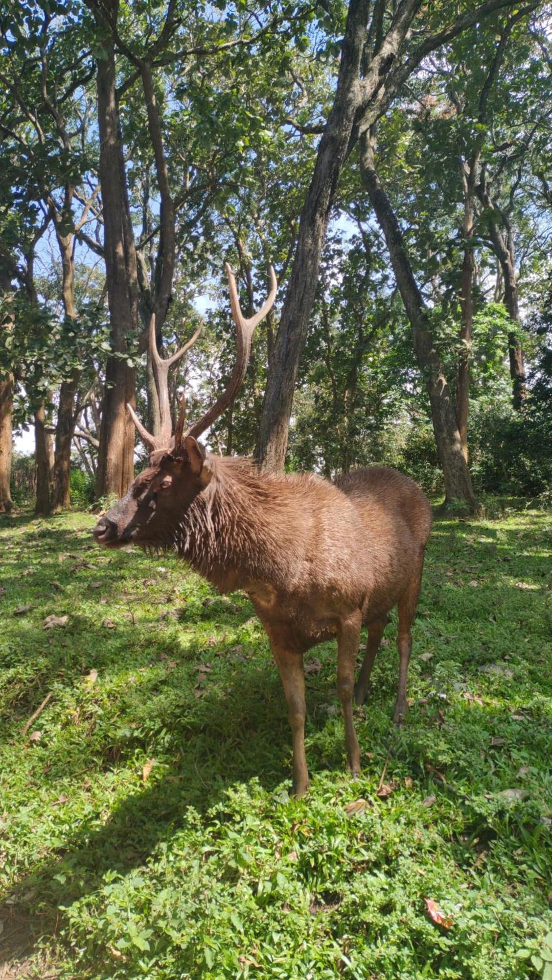 Wild Window - Forest View Homestay เทกคาดี ภายนอก รูปภาพ
