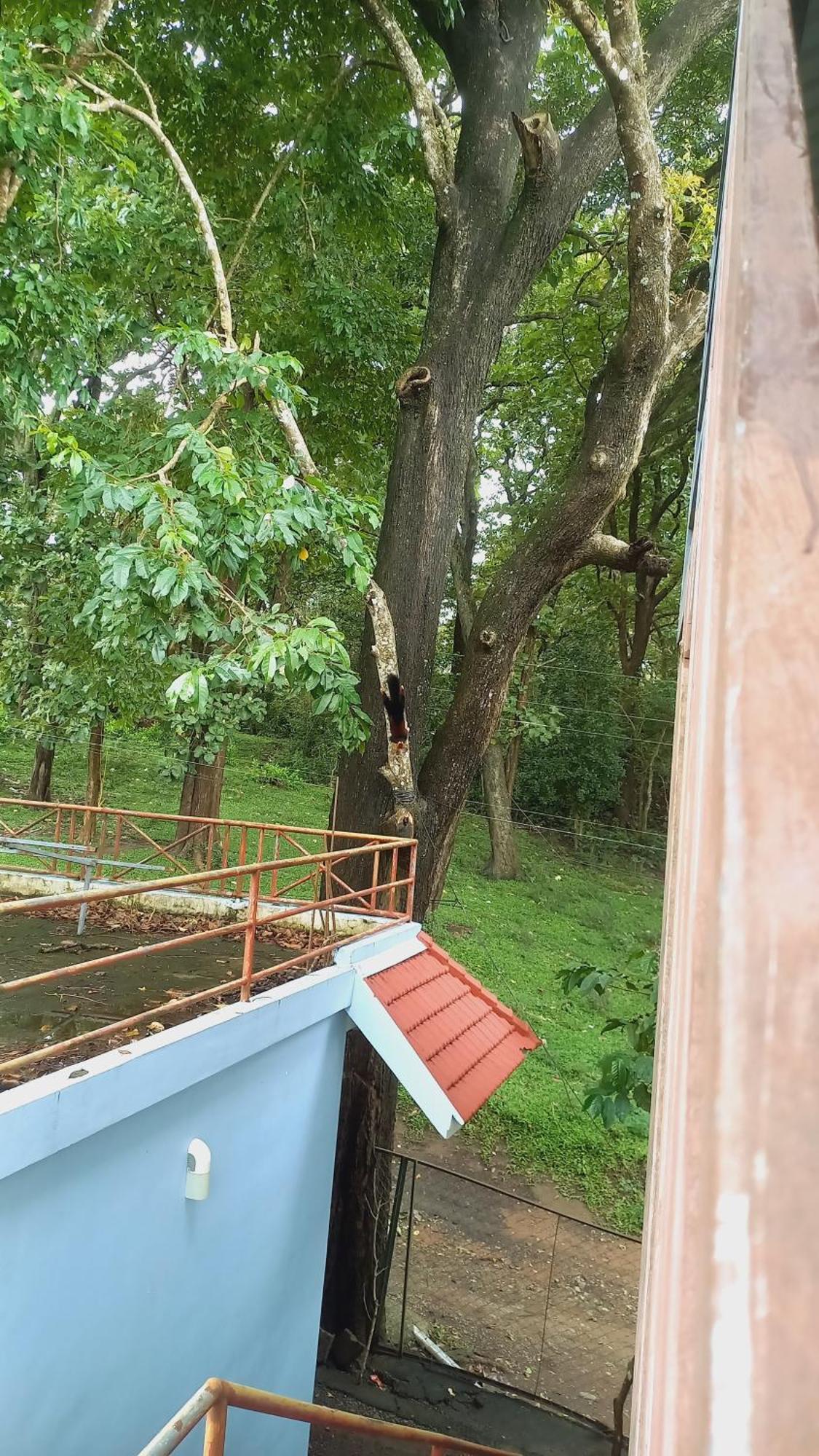 Wild Window - Forest View Homestay เทกคาดี ภายนอก รูปภาพ