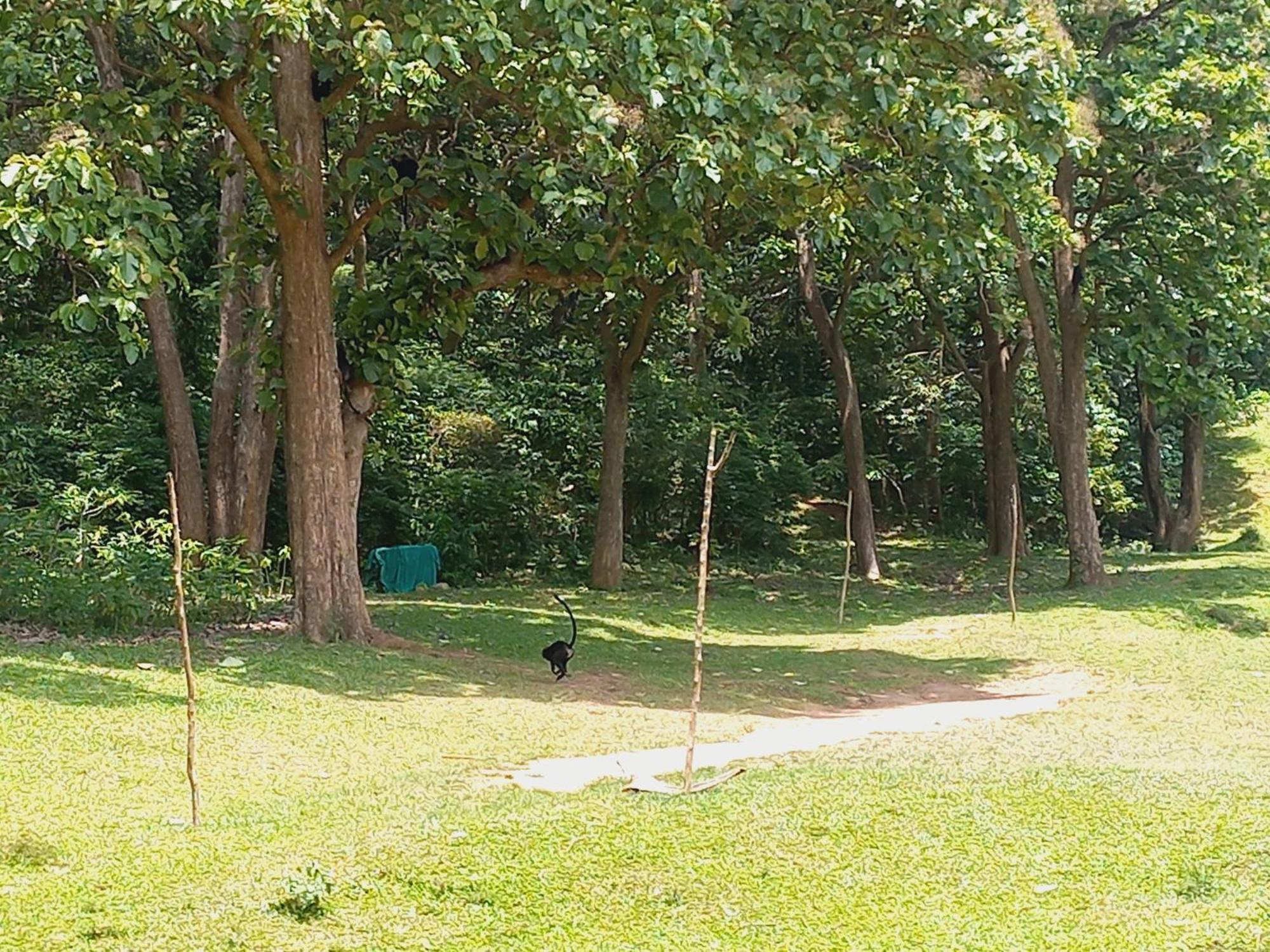 Wild Window - Forest View Homestay เทกคาดี ภายนอก รูปภาพ