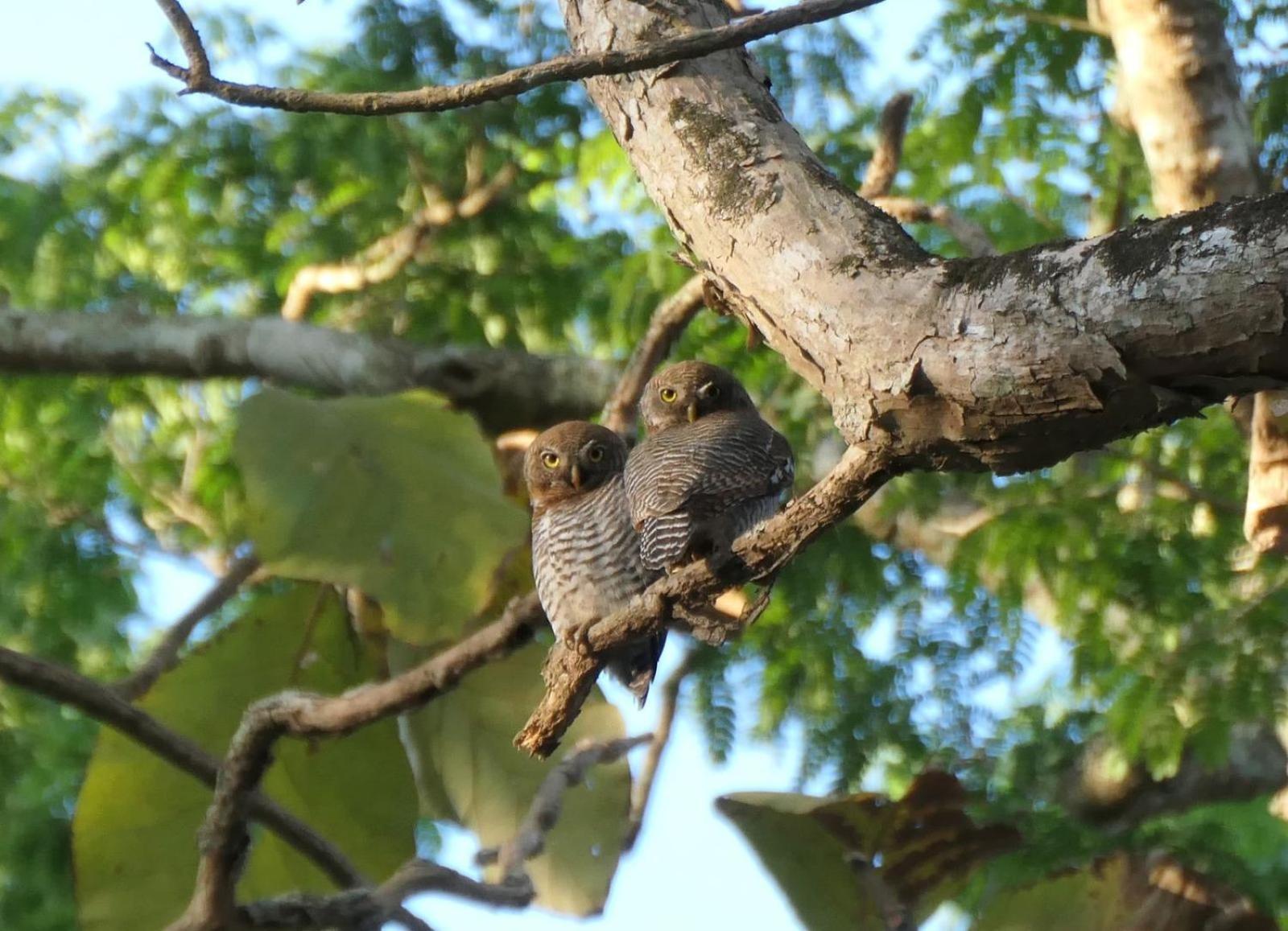 Wild Window - Forest View Homestay เทกคาดี ภายนอก รูปภาพ