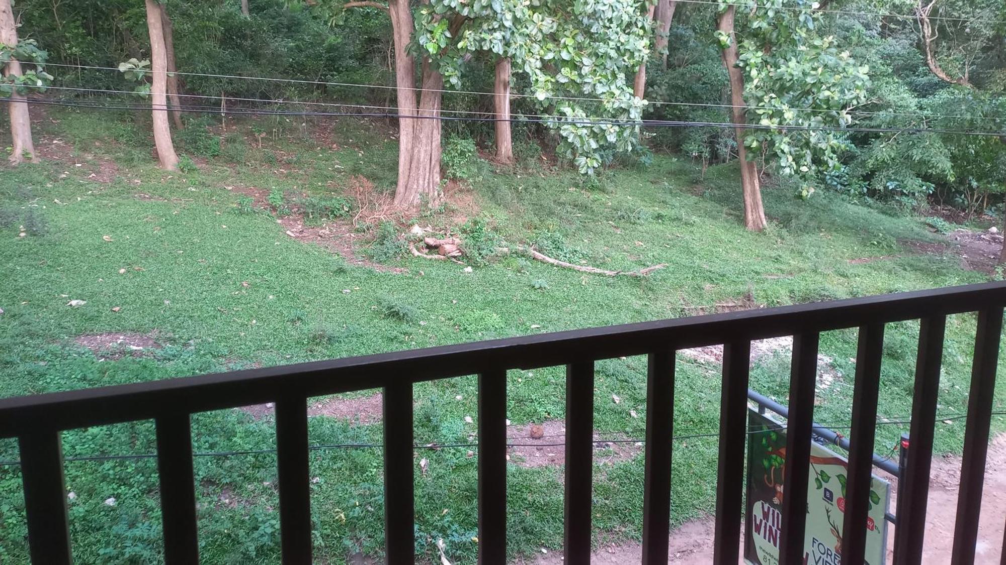 Wild Window - Forest View Homestay เทกคาดี ภายนอก รูปภาพ