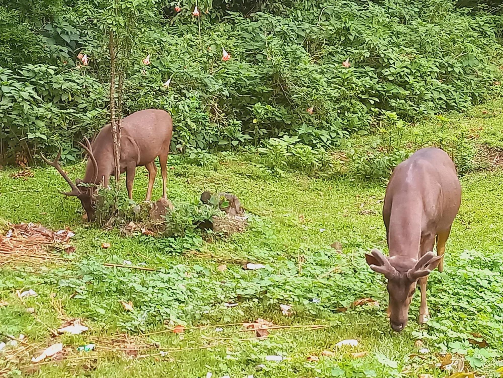 Wild Window - Forest View Homestay เทกคาดี ภายนอก รูปภาพ