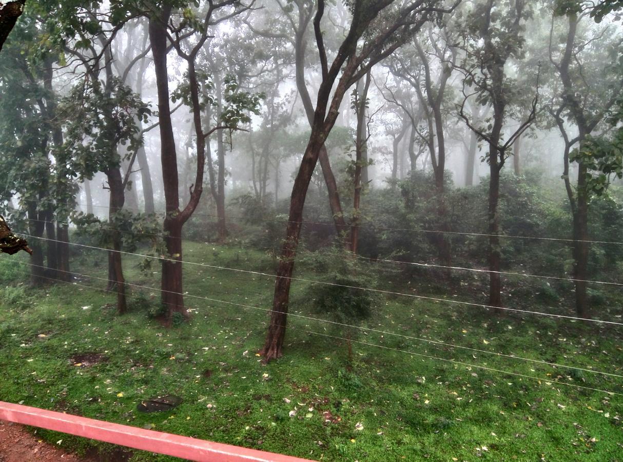Wild Window - Forest View Homestay เทกคาดี ภายนอก รูปภาพ