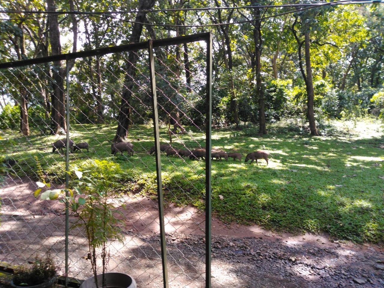 Wild Window - Forest View Homestay เทกคาดี ภายนอก รูปภาพ