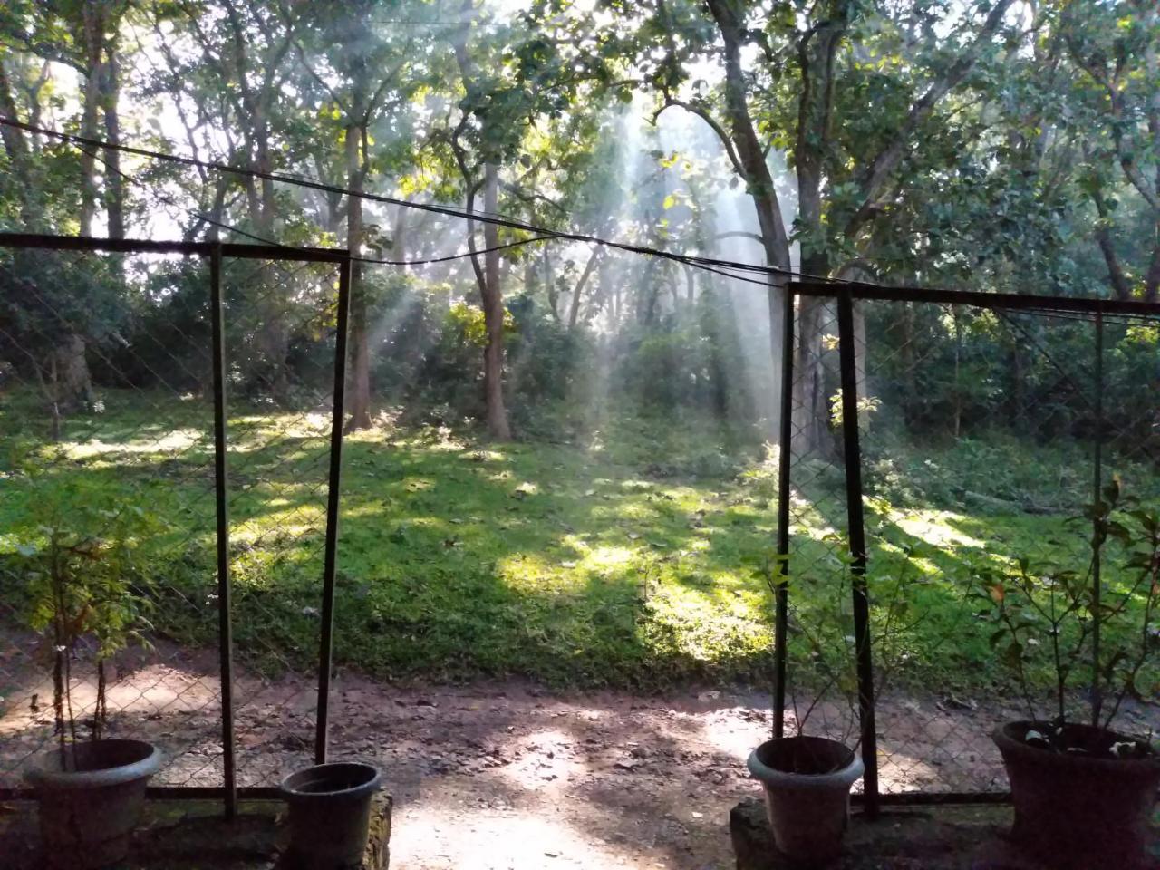 Wild Window - Forest View Homestay เทกคาดี ภายนอก รูปภาพ