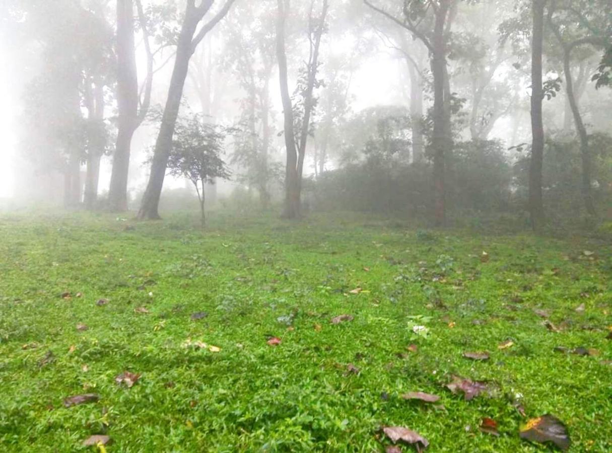 Wild Window - Forest View Homestay เทกคาดี ภายนอก รูปภาพ
