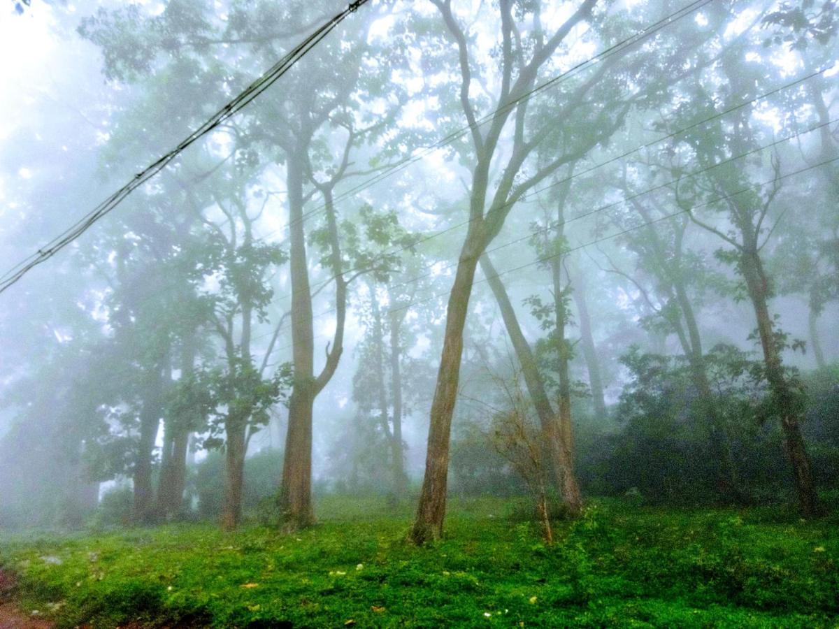 Wild Window - Forest View Homestay เทกคาดี ภายนอก รูปภาพ